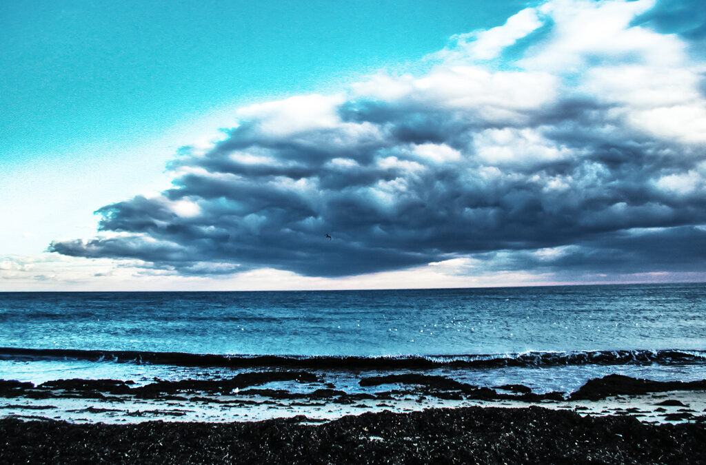 Day At The Beach : On A Cold Winters Day