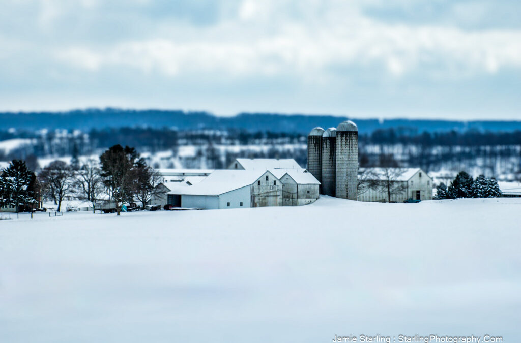 Snowy Silence : The Slumbering Farm In Winter