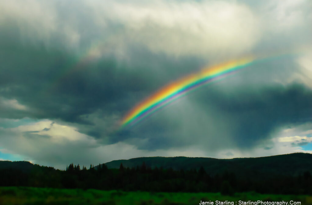 Arc of Awakening : Nature’s Prism