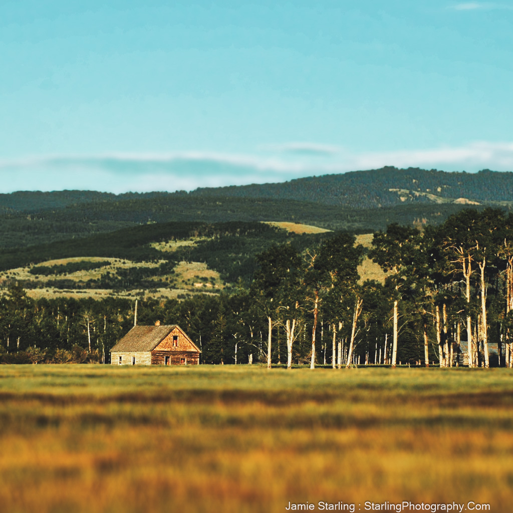 A peaceful photograph of a lone homestead surrounded by an expansive field and a distant line of trees, illuminated by the soft light of a Wyoming morning, evoking questions about the dreaming earth and our connection to it.