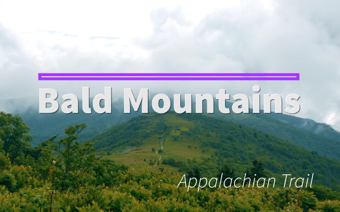 Bald Mountains Cloud Bank: Along The Appalachian Trail