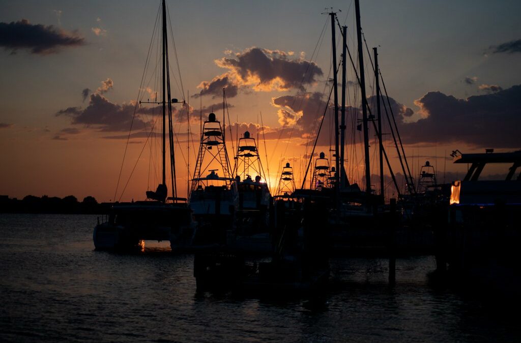 Harbor of Reflection