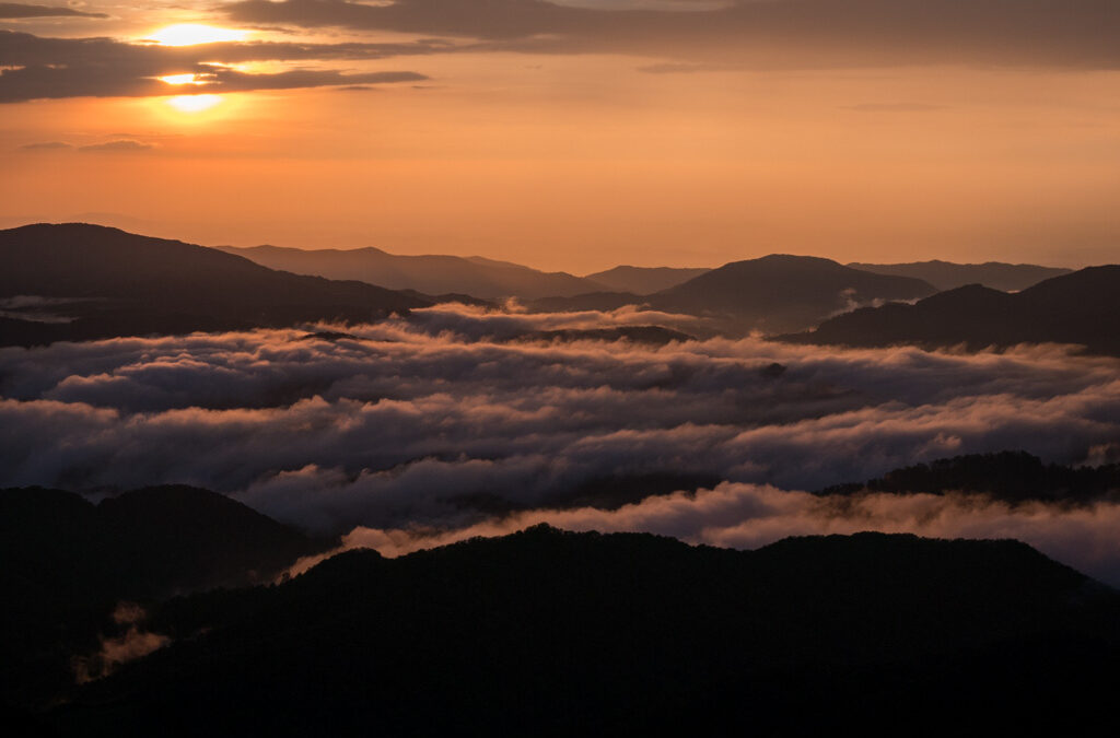 Solitary Peaks : Finding Connection in the Landscape of Life