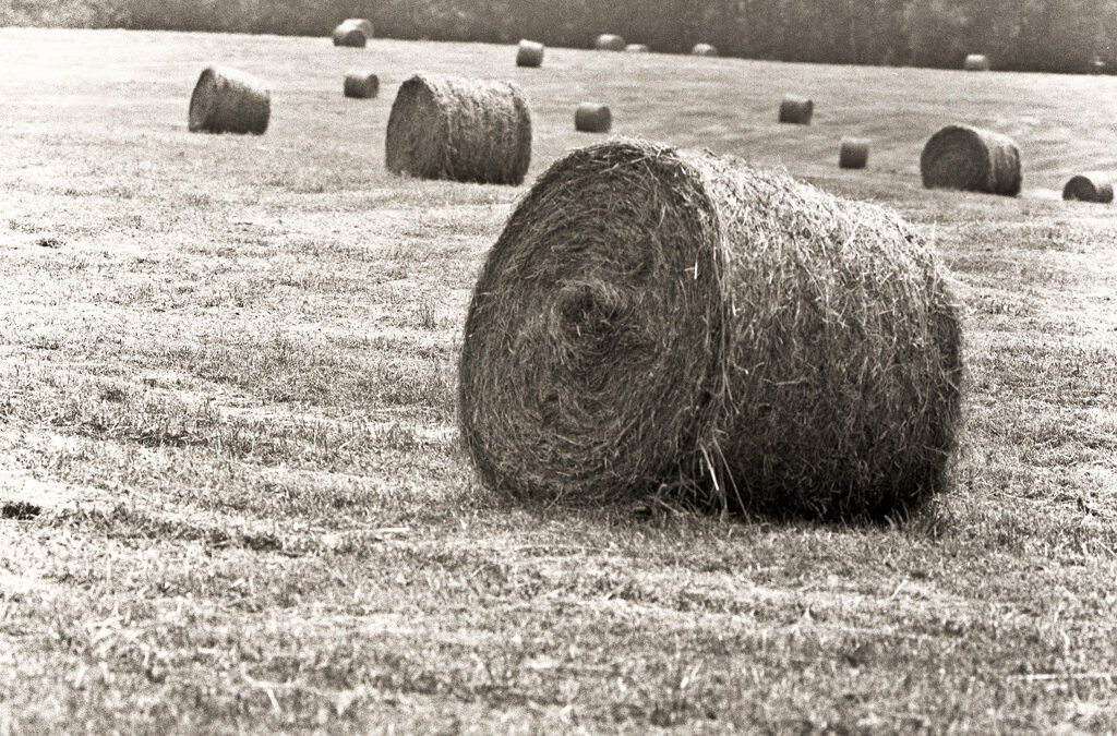 The Harmony of a Field