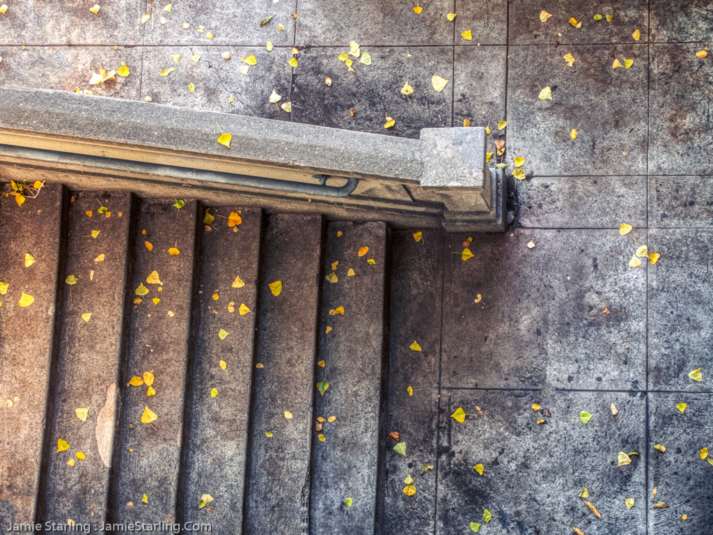A thoughtfully composed photograph of yellow leaves scattered on the steps of a San Francisco stairway, symbolizing the ephemeral moments of life and our continuous climb towards spiritual awareness.