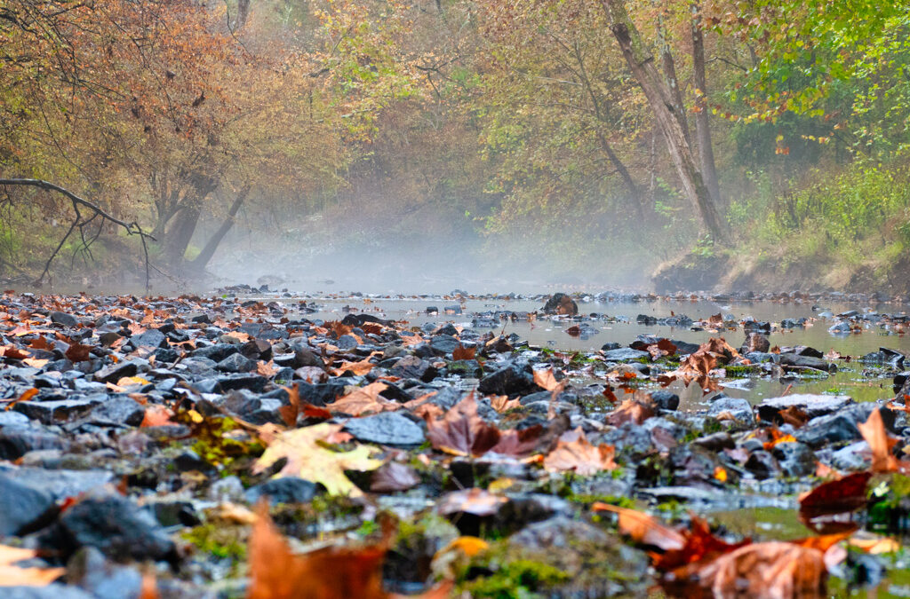 Embracing the River Within : The Journey of Self-Discovery