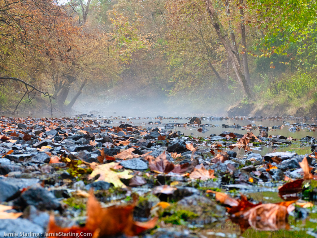A serene sunrise scene at the Eno River, where the mist lifts to reveal a trail of leaves and a gentle river, symbolizing the individual journey of self-discovery against the flow of conformity.