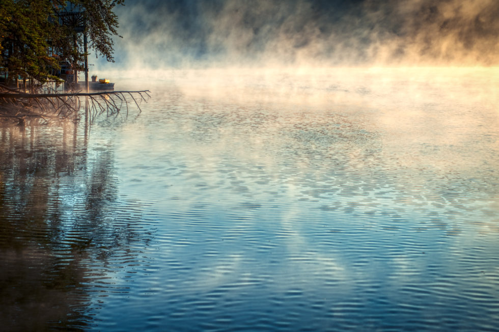 The tranquil waters of a lake and the surrounding trees are caressed by morning mist, representing the boundless and impartial nature of compassion.