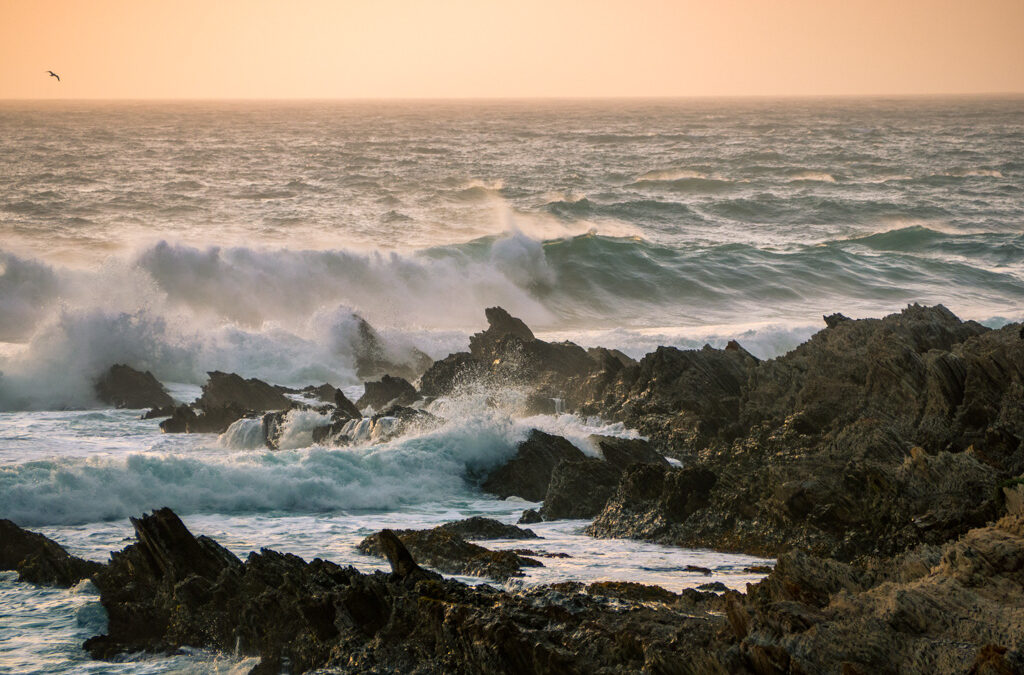 The Peace of the Sea