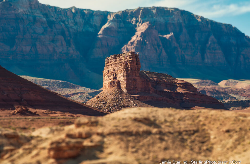 Echoes of Loneliness : Finding Unexpected Strength in Nature’s Embrace