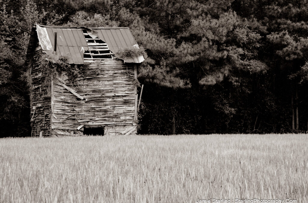 The Journey of a Carolina Barn : Standing Strong