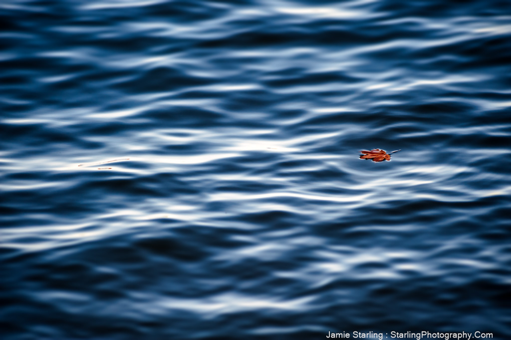A single red leaf, a small yet steadfast presence, floats on a dynamic, wave-patterned lake, serving as a metaphor for navigating life's continual motion with ease and mindfulness.