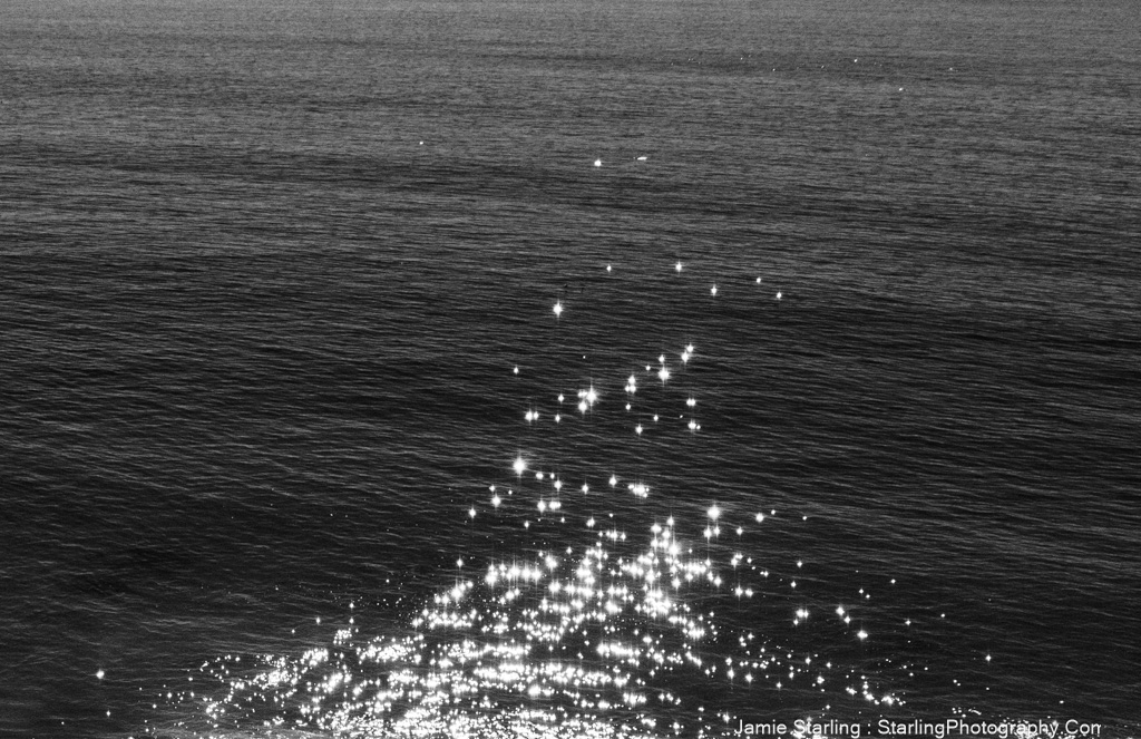 A black and white photo showing the gentle shimmer of sunlight on the ocean's surface, reflecting the tranquil and ephemeral beauty captured through mindful photography.