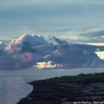 A tranquil shoreline with a calm ocean and colorful clouds, symbolizing the deep peace and connection that comes from reconnecting with the natural world.