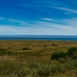 A beautiful coastal meadow with a clear blue sky and the sea in the distance, symbolizing life's journey, dreams, and the clarity and peace we seek.