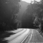 A quiet, curving road through a sunlit forest, evoking a sense of tranquility and the journey of self-discovery and letting go of rigid beliefs.