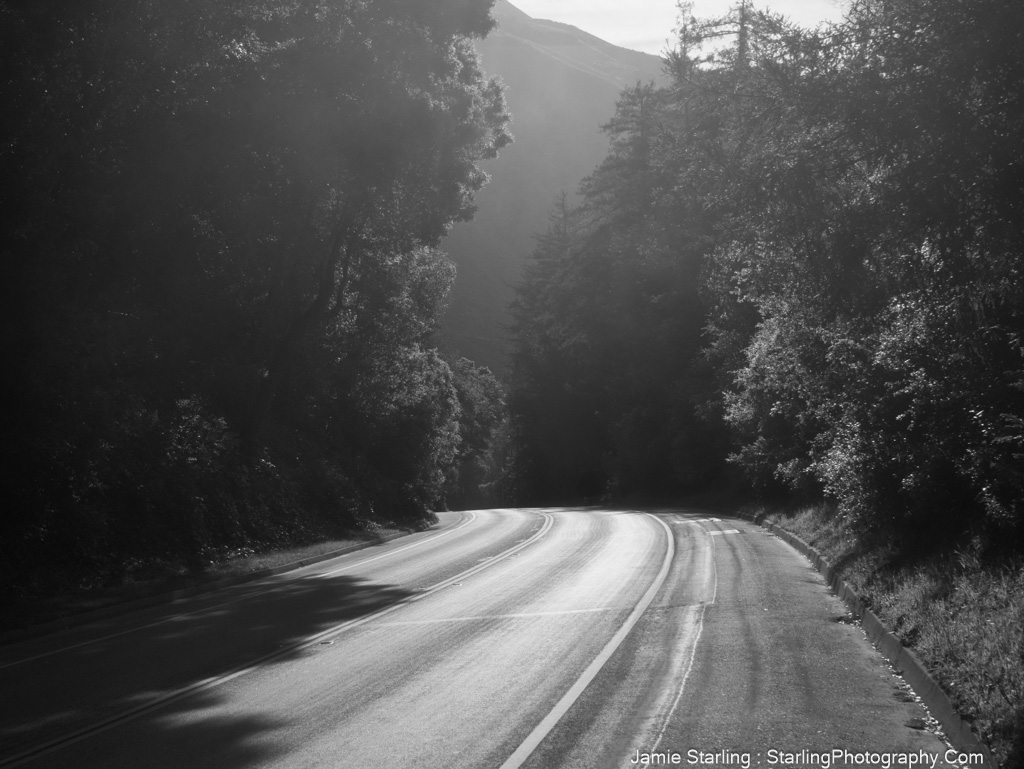 A quiet, curving road through a sunlit forest, evoking a sense of tranquility and the journey of self-discovery and letting go of rigid beliefs.