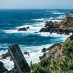 A captivating view of a rocky coastline with powerful waves crashing against the shore, surrounded by lush greenery and flowers. This image symbolizes resilience and the beauty found in nature's challenges.