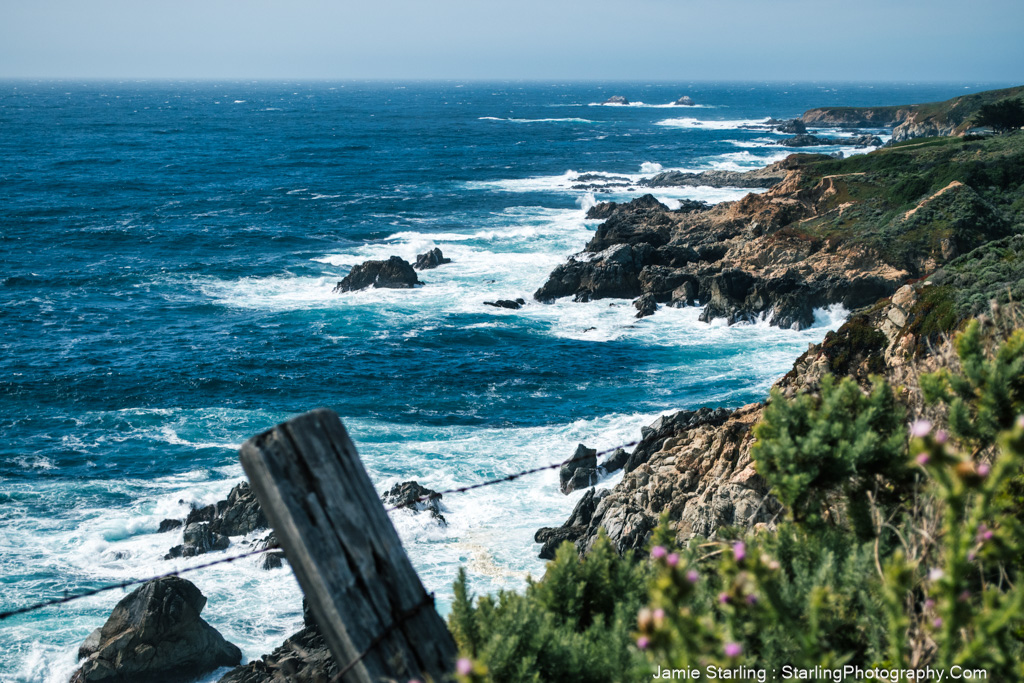 A captivating view of a rocky coastline with powerful waves crashing against the shore, surrounded by lush greenery and flowers. This image symbolizes resilience and the beauty found in nature's challenges.