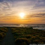 A path along the coast at sunset, representing the journey towards truth, illuminated by the golden light of the setting sun, inviting a connection to inner wisdom and authenticity.