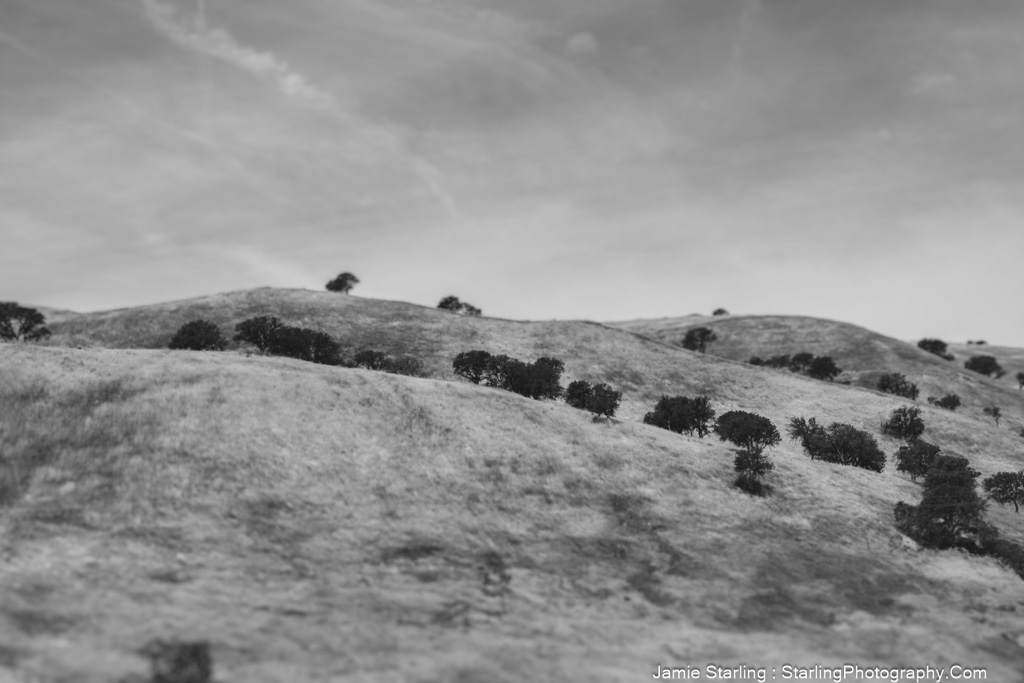 A tranquil black and white photo of rolling hills with scattered trees, evoking a sense of calm and introspection, encouraging viewers to explore their inner journey.
