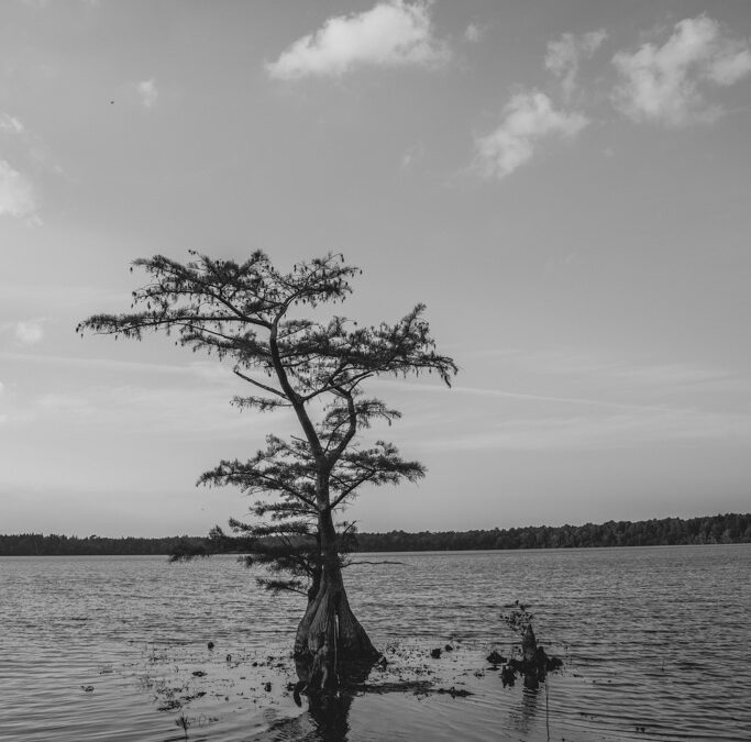 Grounded Yet Reaching : A Moment of Peace and Power