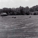 A black and white image of a rural field with hay bales and a weathered barn, symbolizing patience, hard work, and the enduring rhythms of nature.