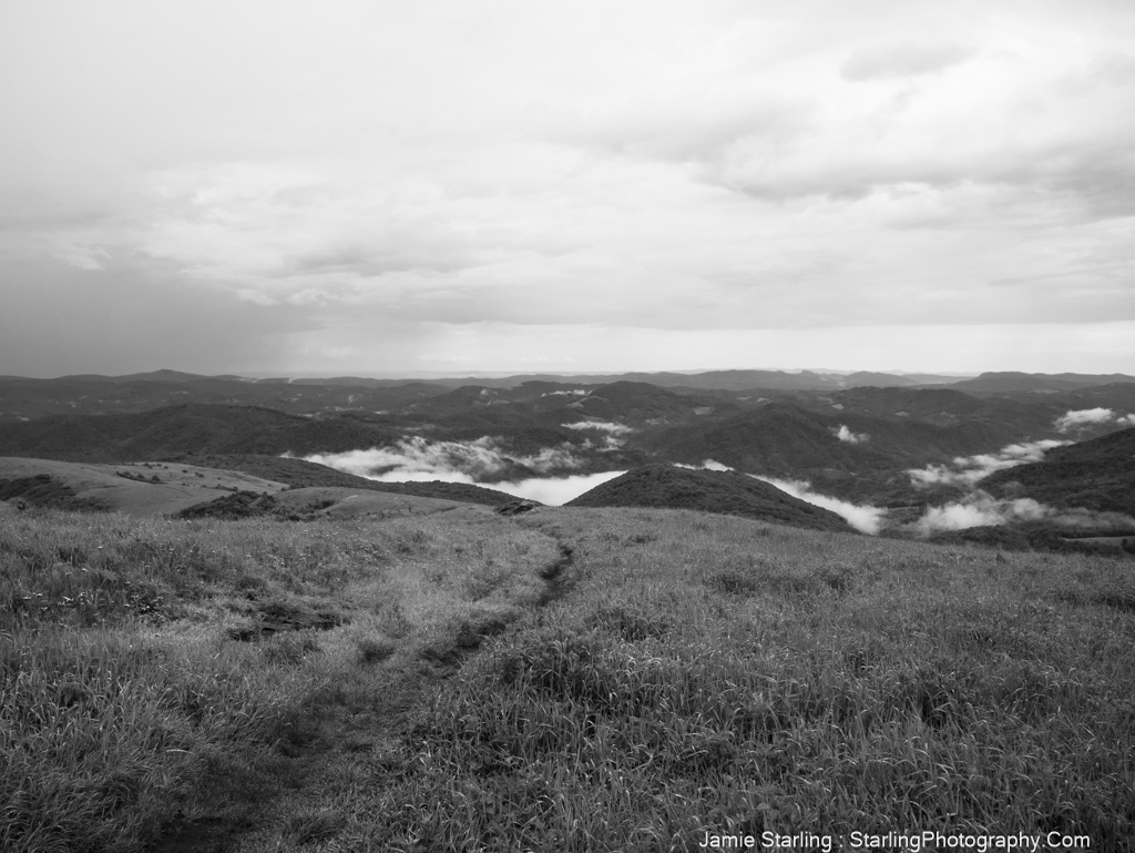 Black and white image of a winding path through rolling hills, symbolizing the journey to awakening and the power of being present in the moment.