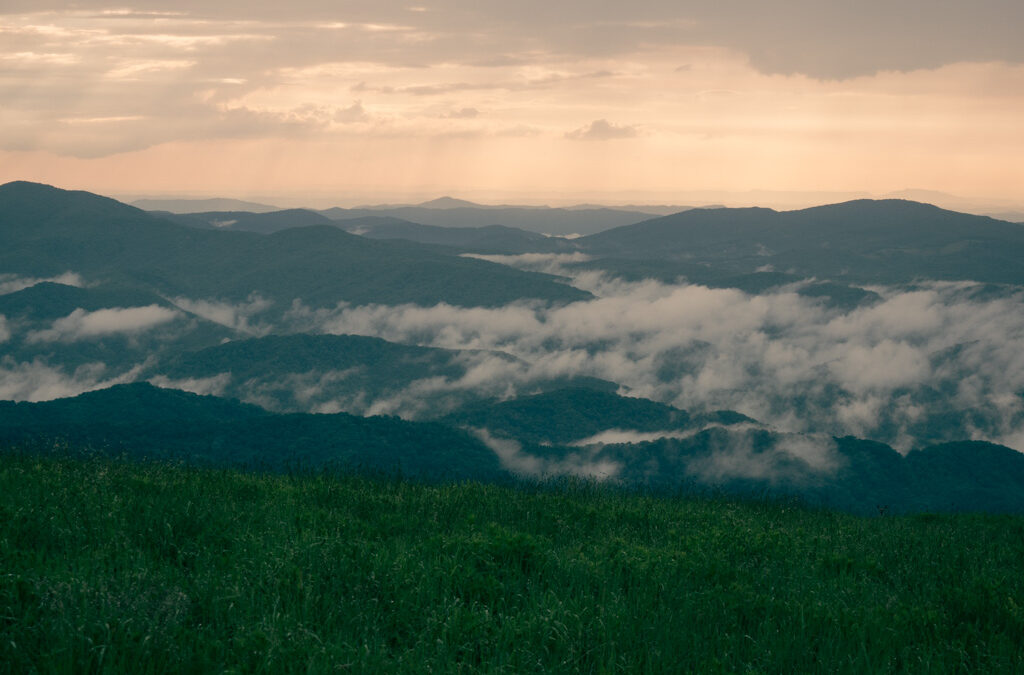 The Hidden Prison : Beyond the Fog