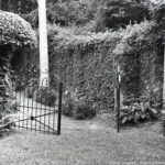 Black-and-white photograph of an open iron gate in a garden, symbolizing the power of photography to challenge boundaries and inspire new perspectives.