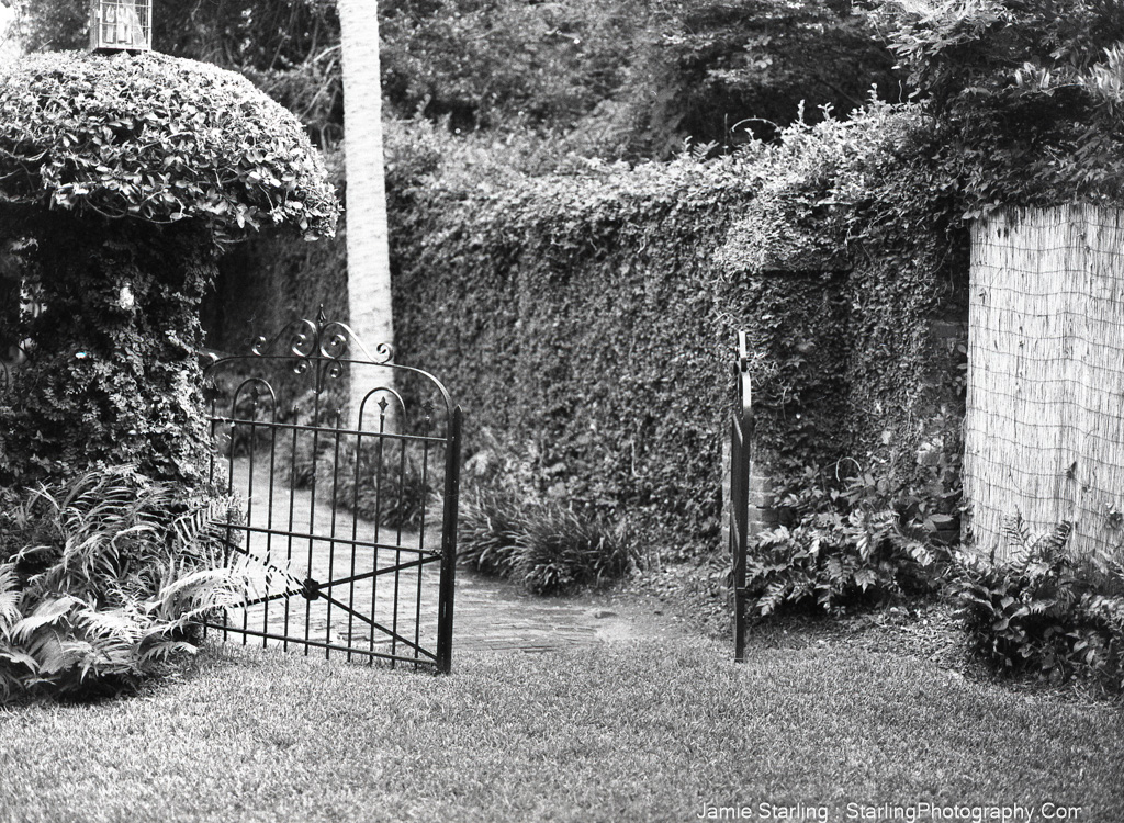 Black-and-white photograph of an open iron gate in a garden, symbolizing the power of photography to challenge boundaries and inspire new perspectives.