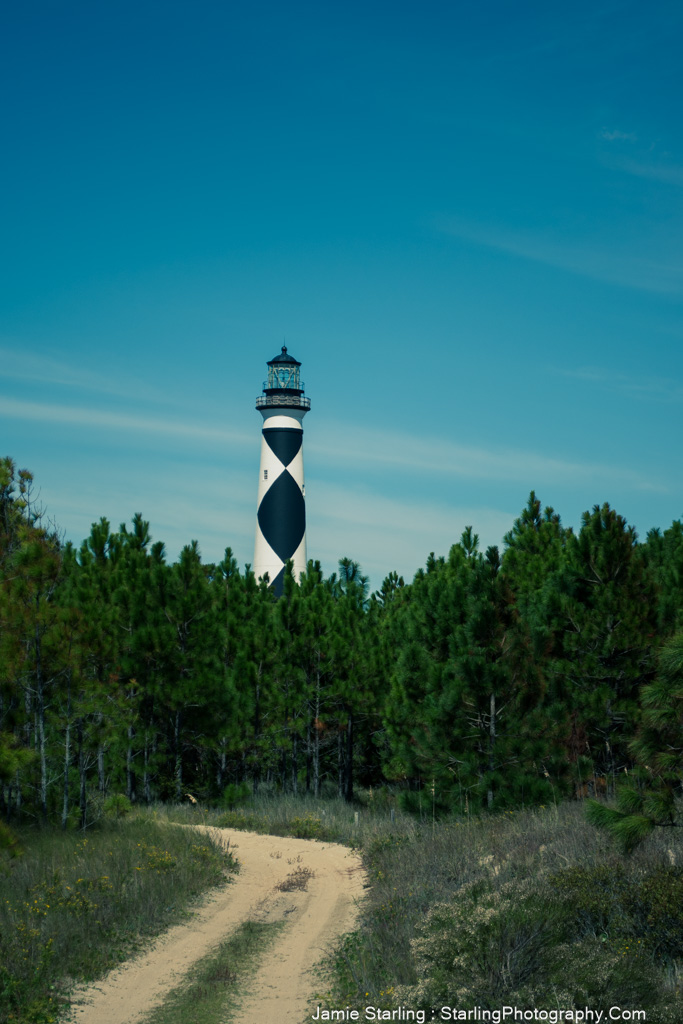 A black-and-white lighthouse rises above green trees with a winding path leading toward it, symbolizing guidance and the journey of self-discovery—a striking visual metaphor in photography.