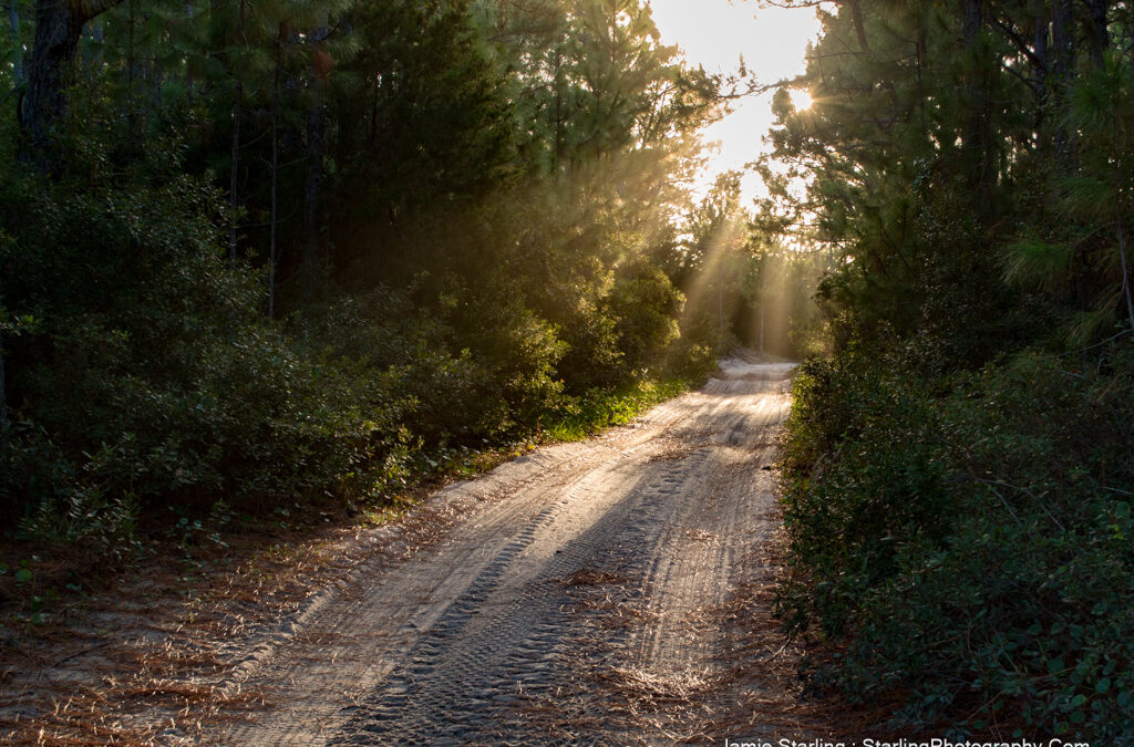 Showing the Journey : How to Use Photography to Tell Stories