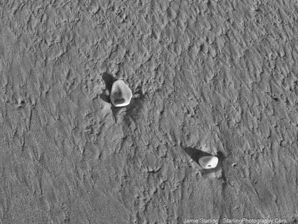 Two seashells on sand casting shadows, representing patience and the wisdom of letting go.