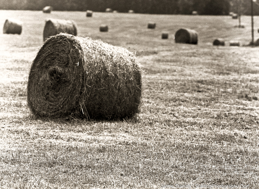 A serene image of hay bales scattered across a field, symbolizing patience, dedication, and the fulfillment that comes from trusting the natural cycles of life.