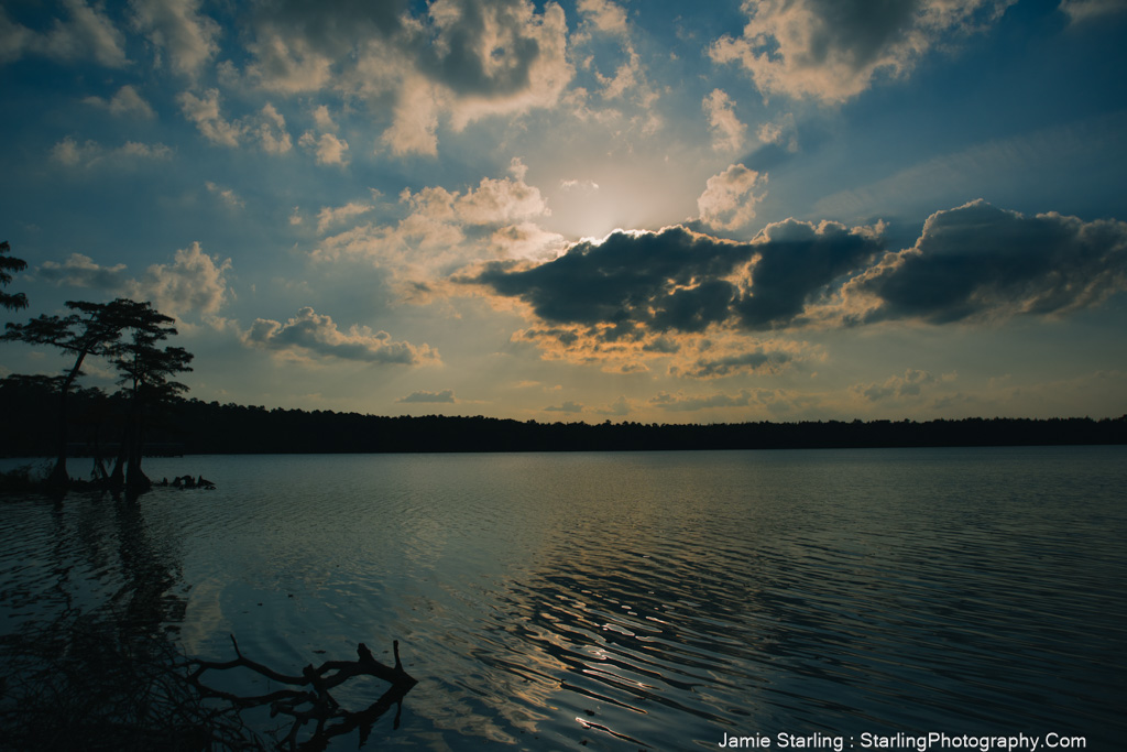 Peaceful lake at sunset with silhouetted trees and soft light reflecting on the water, inviting a moment of peace and reflection.