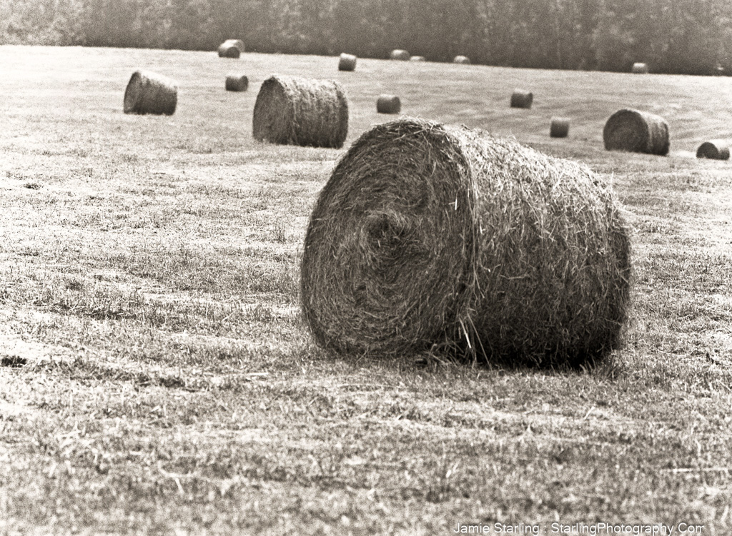 Hay bales scattered across a field, symbolizing the rewards of patience, dedication, and the natural cycles of life.