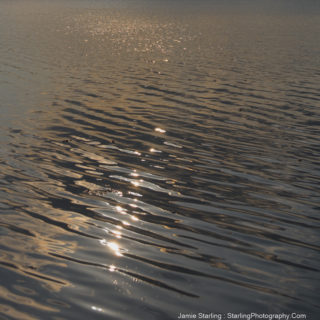 Sunlight reflecting off rippling water, creating a serene and calming scene that draws the viewer into a moment of peaceful reflection.