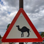 A close-up of a camel crossing sign in an urban setting, symbolizing the unexpected challenges of protecting creative work online, discussed in a blog post about watermarking images.