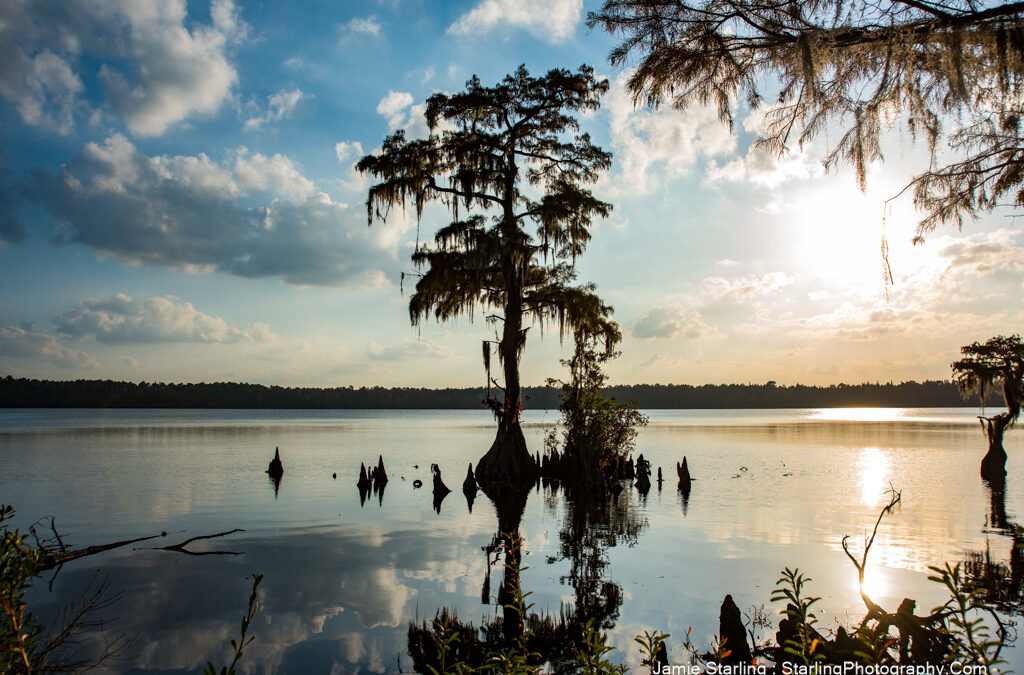 How a Serene Lake Photograph Teaches Us the Importance of Stillness, Reflection, and Finding Inner Peace in a Busy World