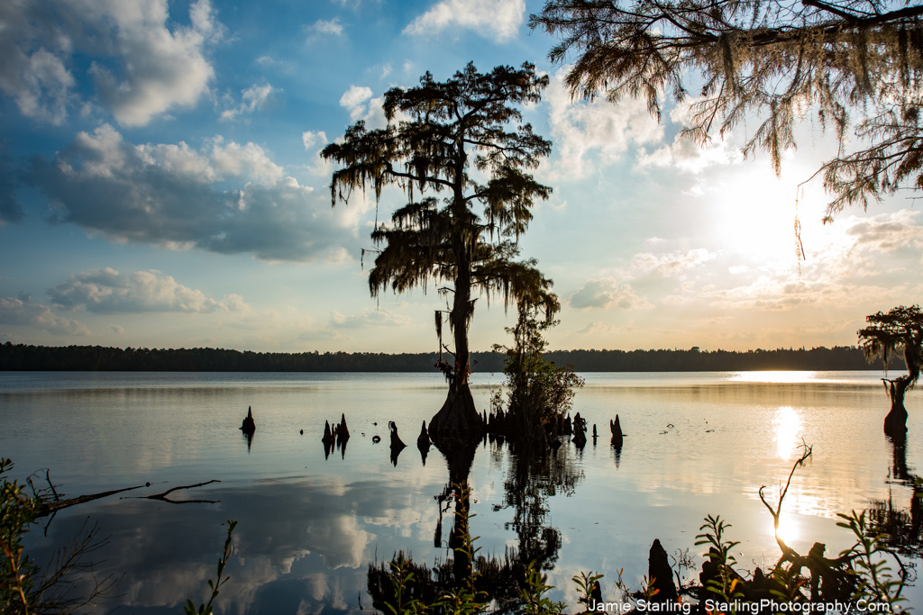 A serene lake with a lone tree standing in the water, reflecting the sky and surrounding landscape, symbolizing the power of stillness, reflection, and inner peace.