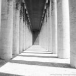 A serene architectural photo of columns and shadows, creating a sense of calm and inviting viewers to pause and reflect.