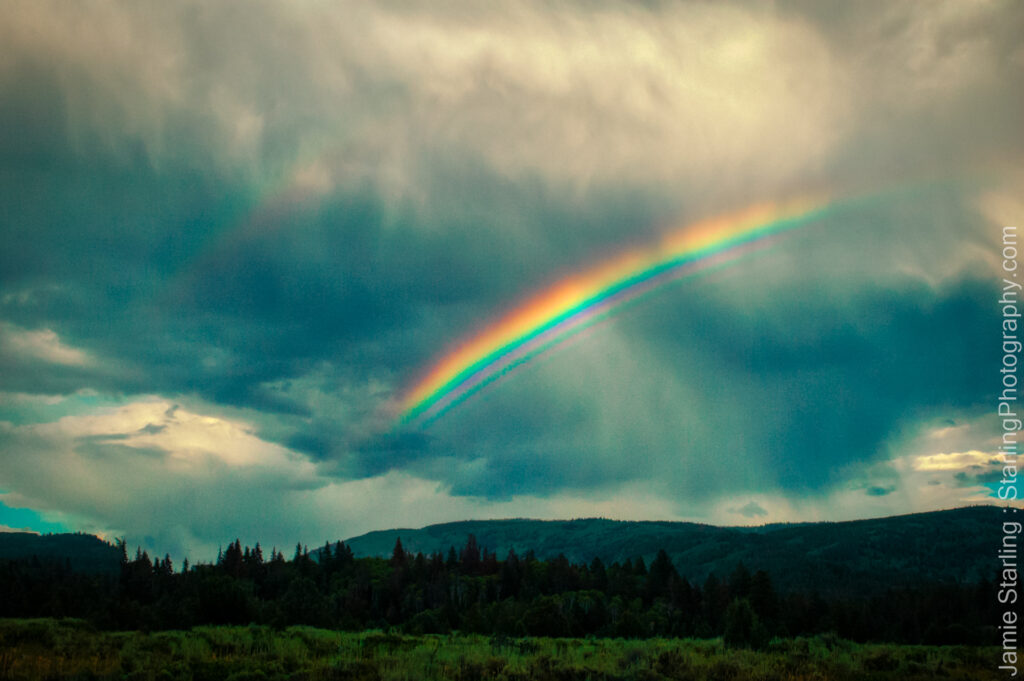 Rainbow Uinta Wasatch Cache National Forest Utah - Just A Rainbow
