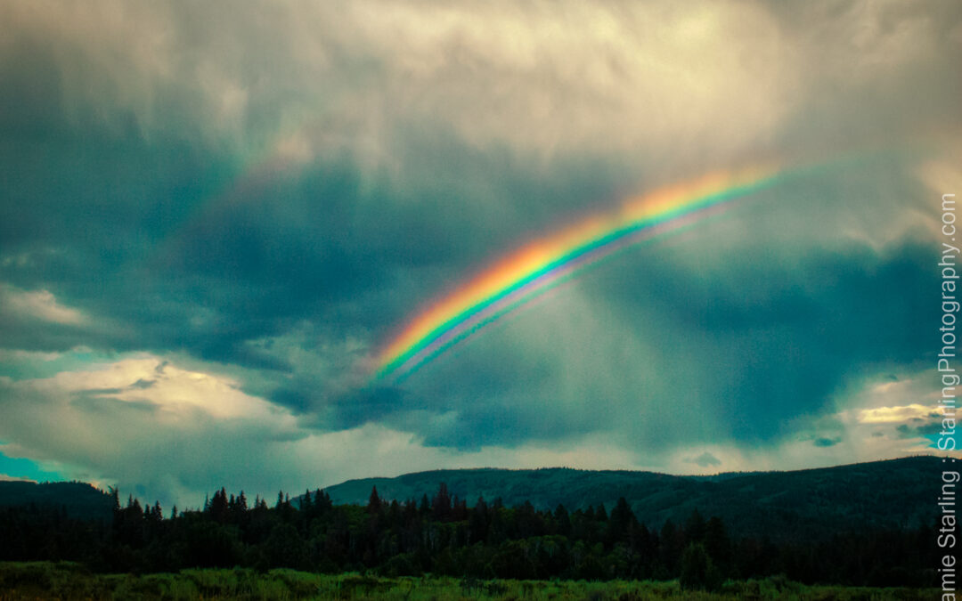 Just A Rainbow