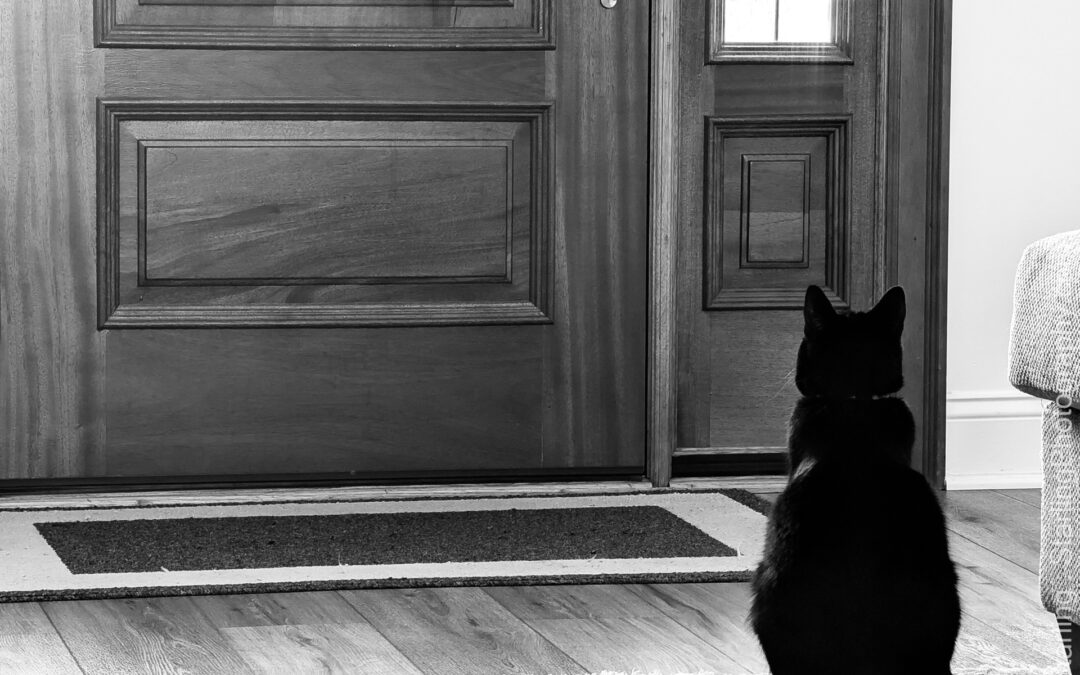 The Wait