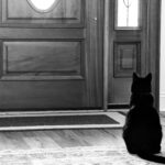 The Wait