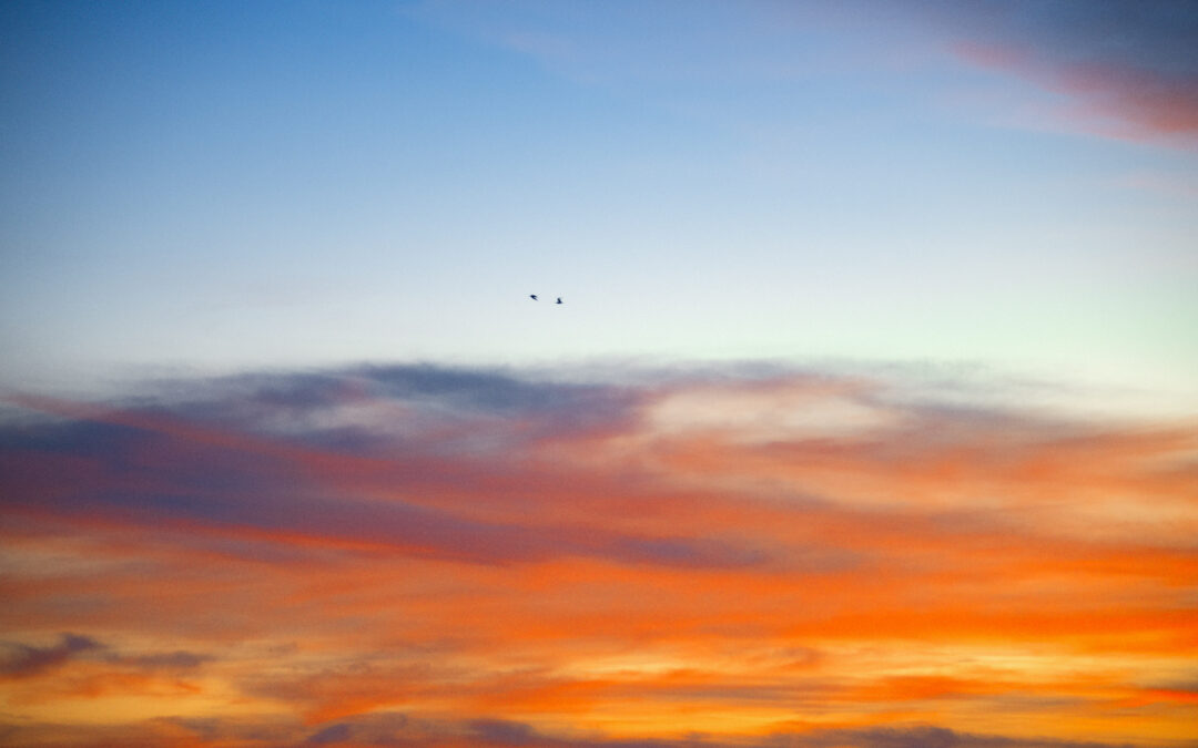 Lifted into Silence