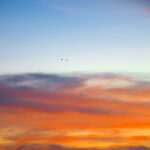 Lifted into Silence