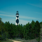 Copyright Jamie Starling